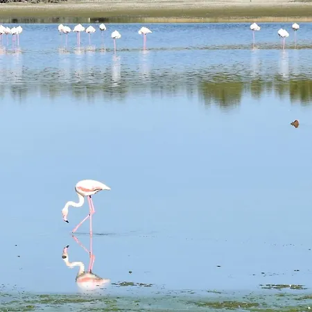 Apartman Panoramic Penthouse