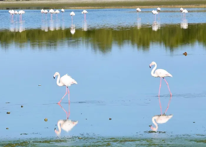 Panoramic Penthouse Apartment