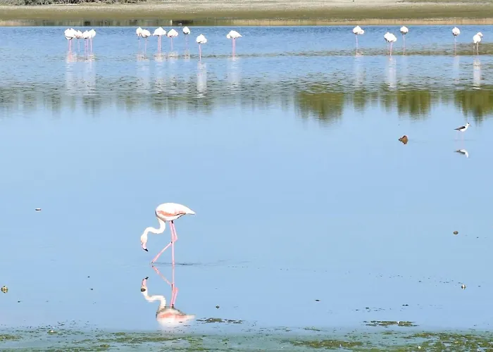 Apartament Panoramic Penthouse